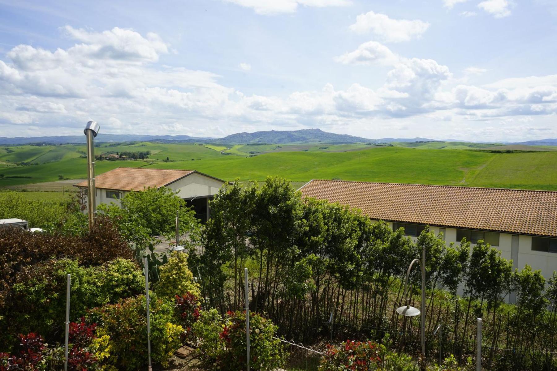 Agriturismo Signorini Orciatico Esterno foto