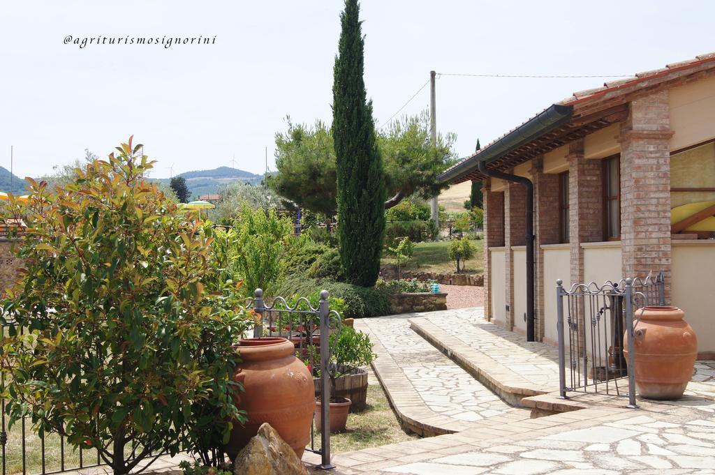 Agriturismo Signorini Orciatico Esterno foto