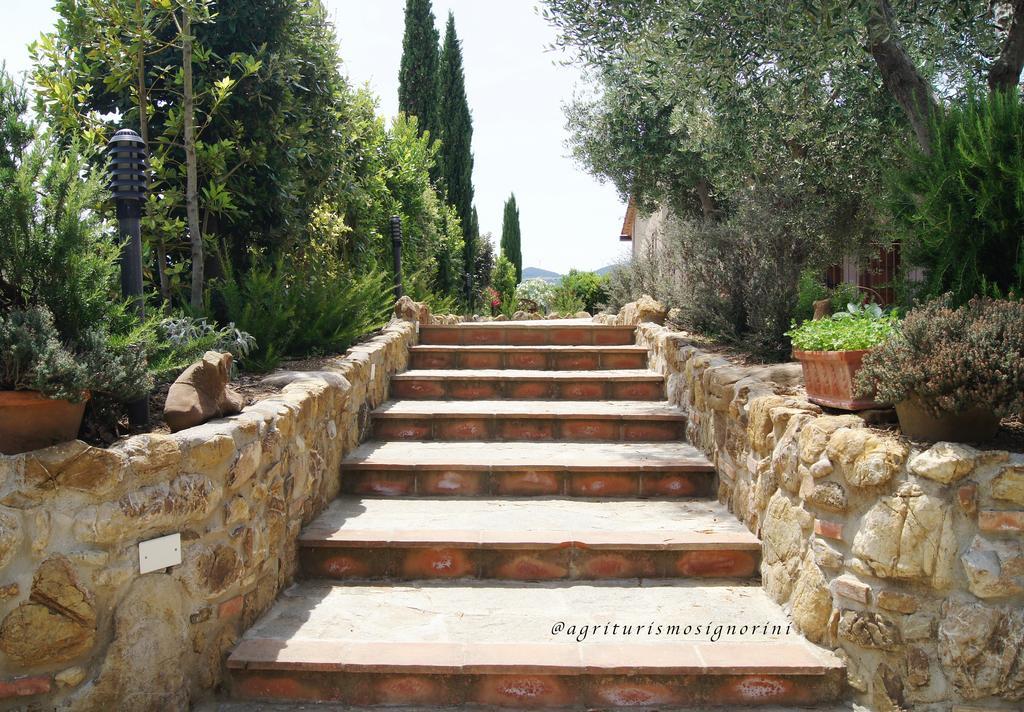 Agriturismo Signorini Orciatico Esterno foto