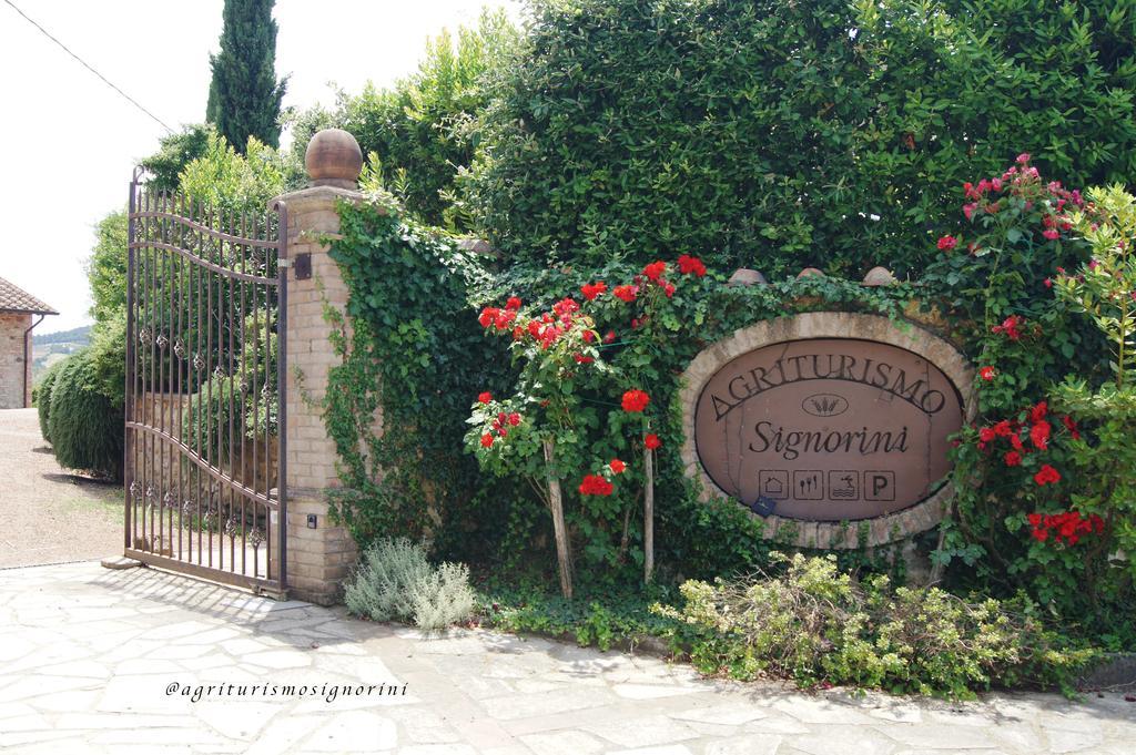 Agriturismo Signorini Orciatico Esterno foto